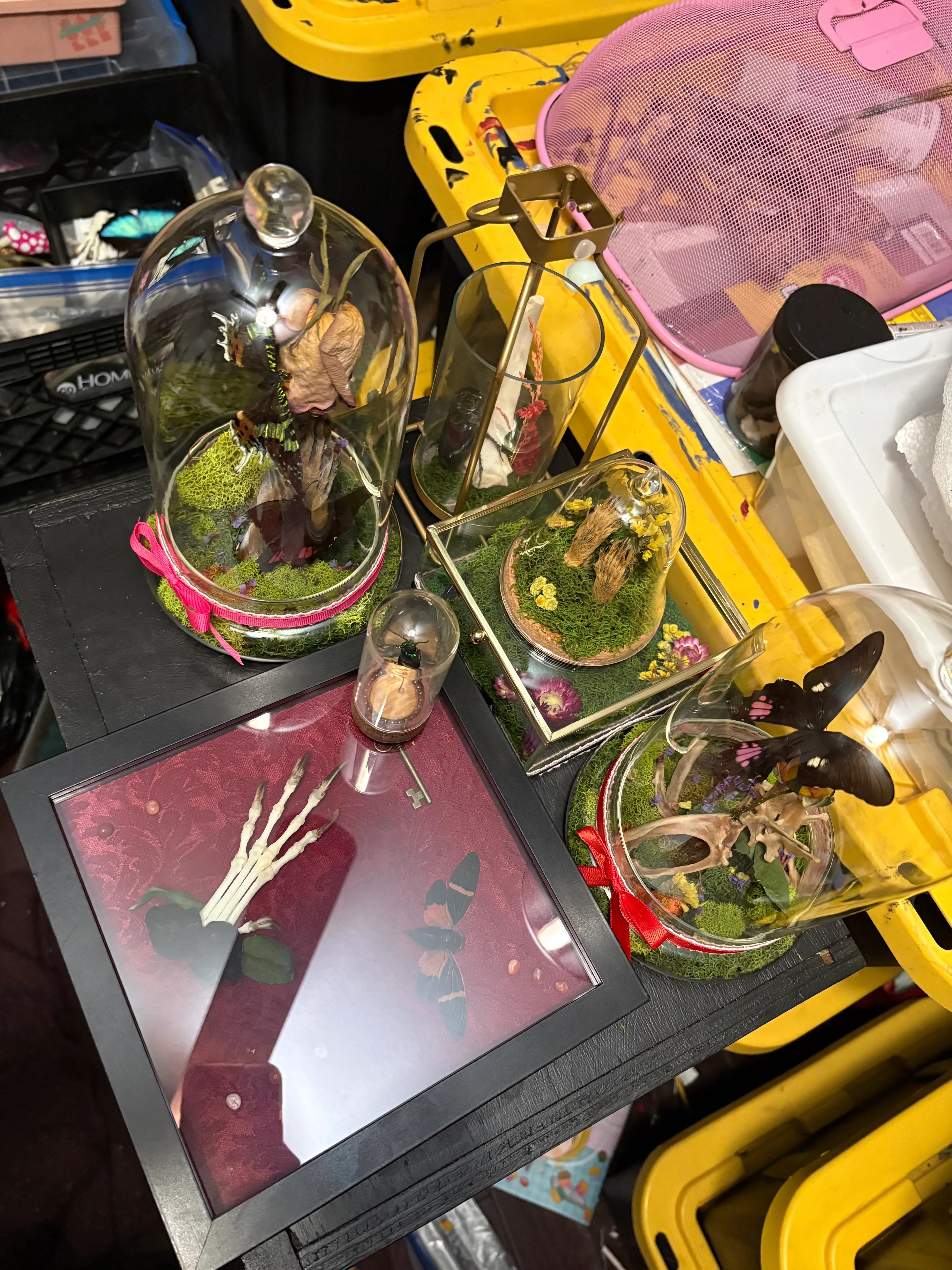 Cloche Dioramas