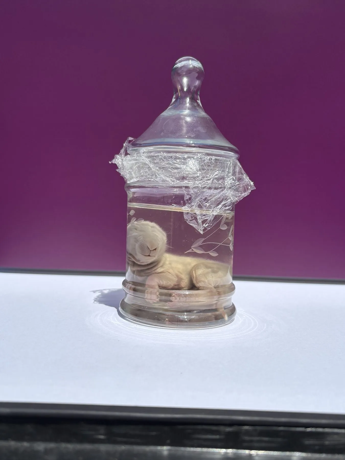 Specimen · Wax-Sealed