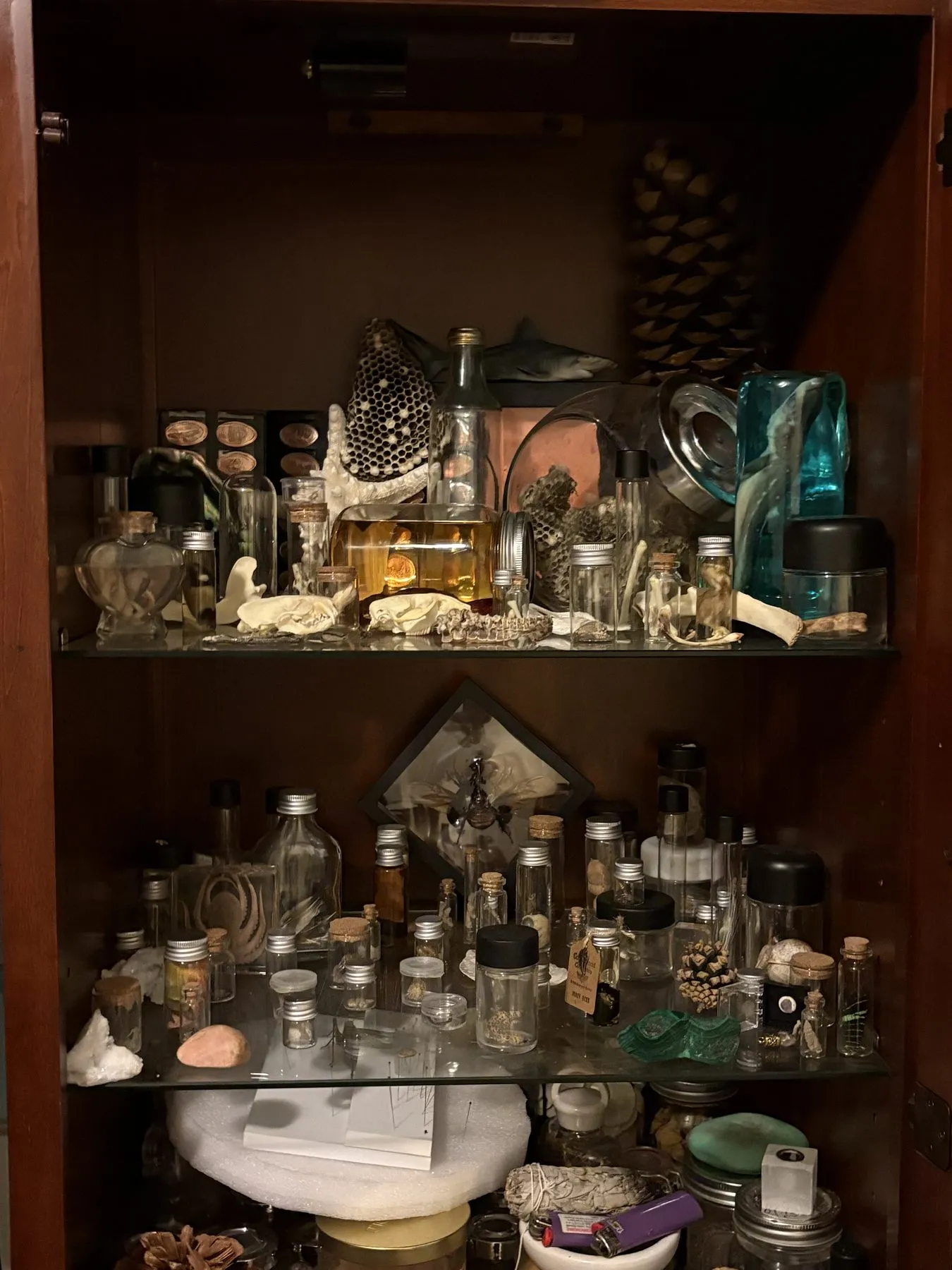 Vial · Oddment